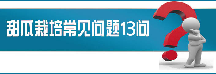 蔬菜種子栽培技術-<strong><font color='#006428'>甜瓜栽培常見問題13問？</font></strong>