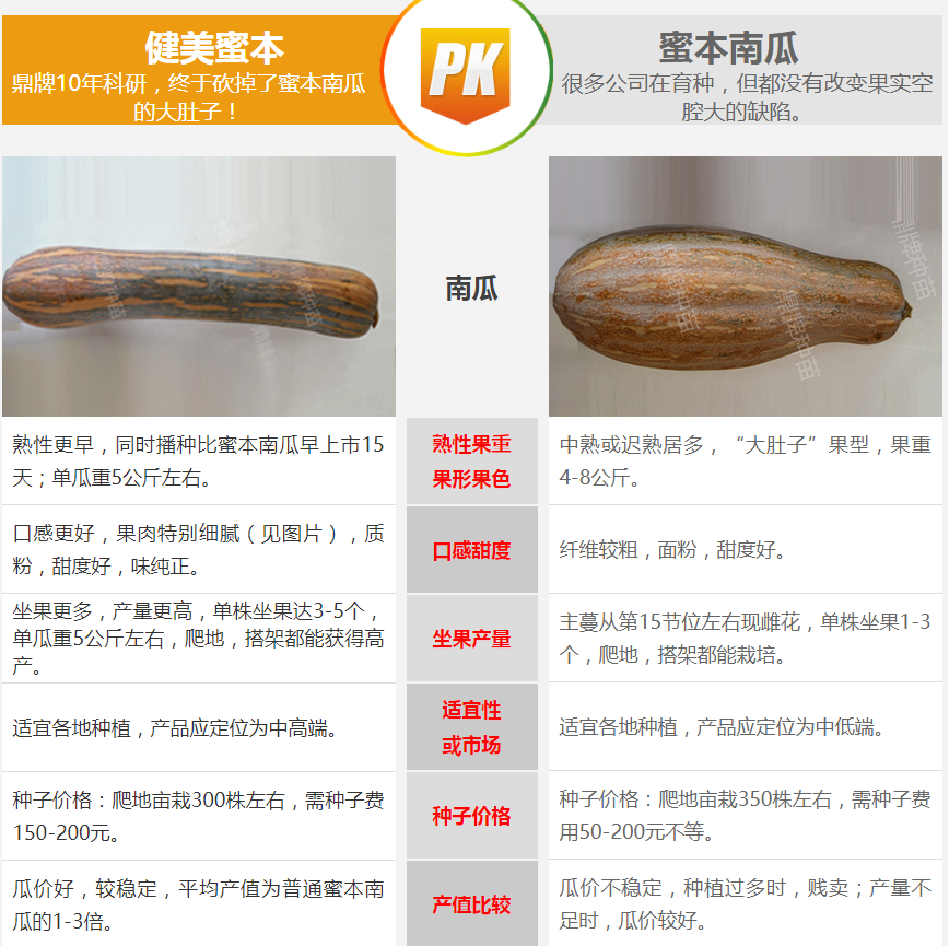 生吃都好吃南瓜新品種，沒(méi)有大肚子，肉質(zhì)更密致，農(nóng)戶試種下