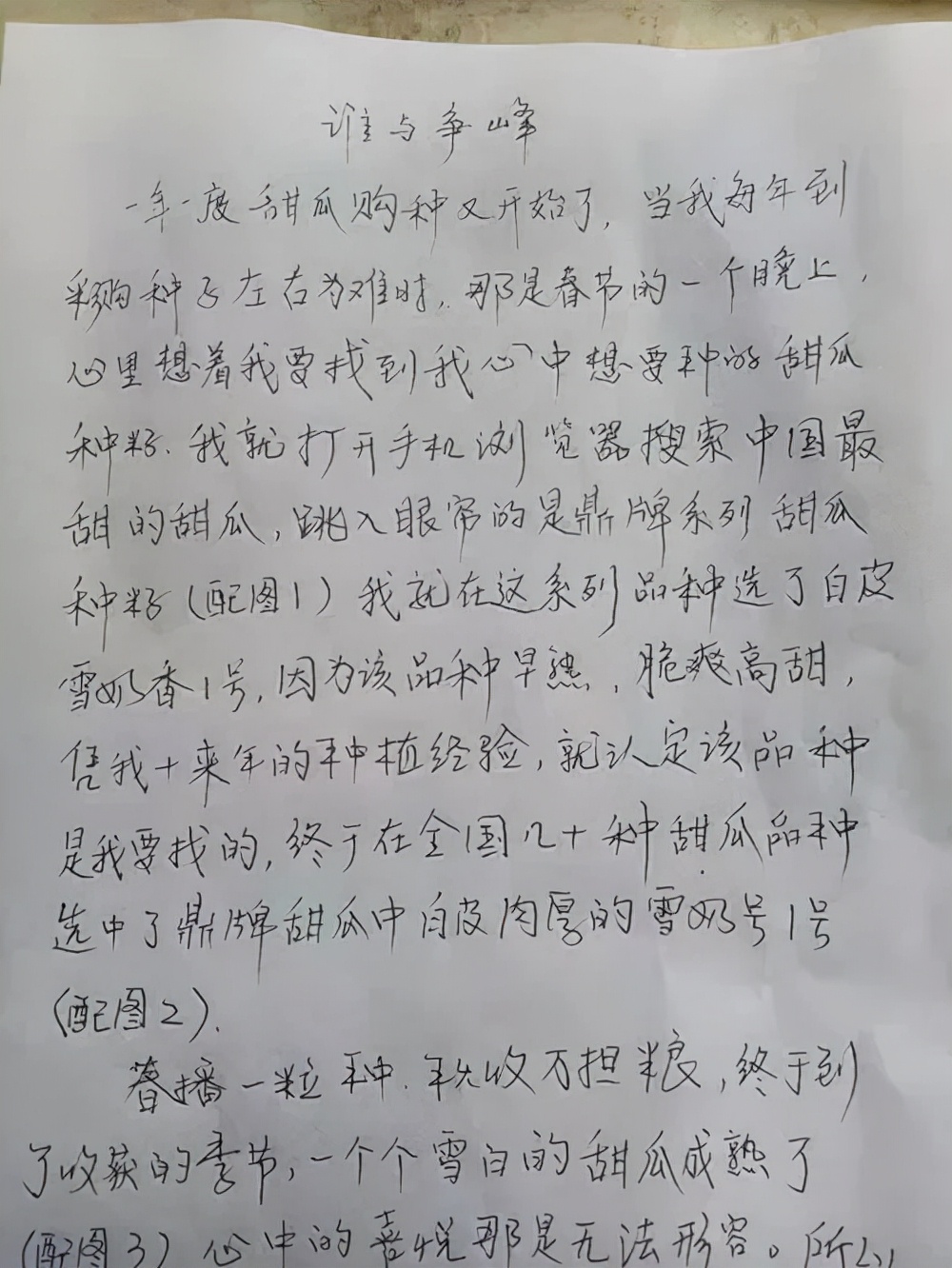 河南焦作的李向林今年種植甜瓜新品種，客戶直接拉貨走人